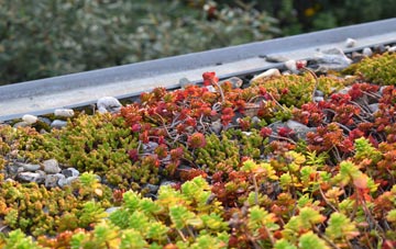 the cost of Dundeugh green roof installation
