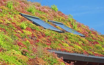 Dundeugh living roof systems