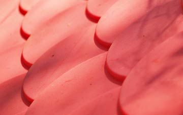 Dundeugh plastic roof costs