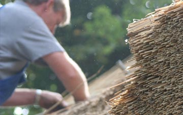 professional Dundeugh thatchers