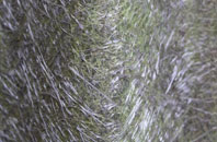 Dundeugh fibreglass roof work